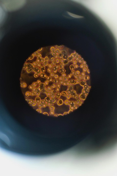 Accesibilidad y rendimiento